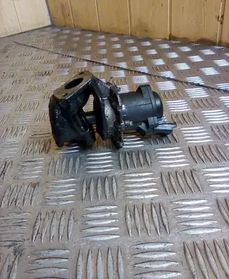 Ford Focus EGR valve 216049521