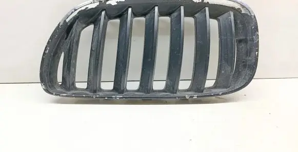Front bumper upper radiator grill