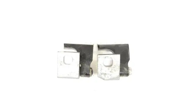 Rear door lower hinge
