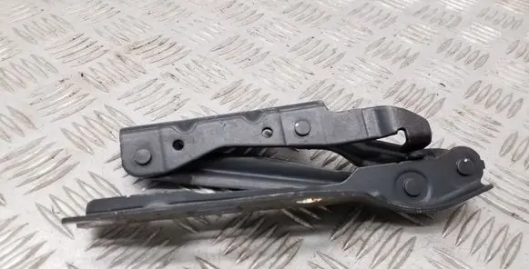 Volkswagen Eos Engine bonnet/hood hinges 1Q0823301C