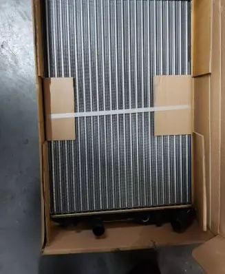 Renault Megane II Coolant radiator 410909113599 43002241