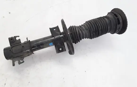 Renault Master III Front shock absorber/damper
