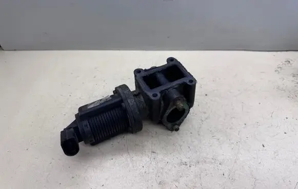 EGR valve