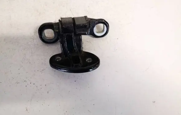 Rear door lower hinge