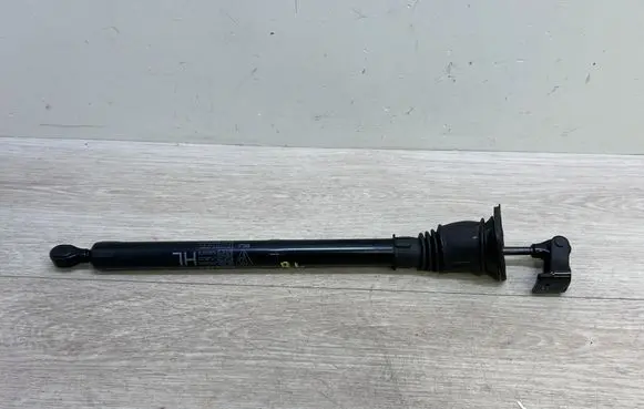 Porsche Panamera (971) Rear door check strap stopper 971839179A 971839179B