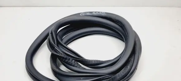 Rear door rubber seal (on body)
