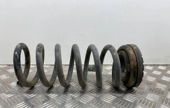 Ford Fusion II Rear coil spring DG9C5560 DG9C5560ABN
