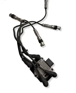 Volkswagen Polo V 6R Spark distributor 312132