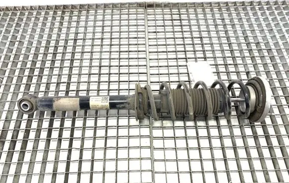BMW 5 G30 G31 G38 Rear shock absorber/damper 6896015