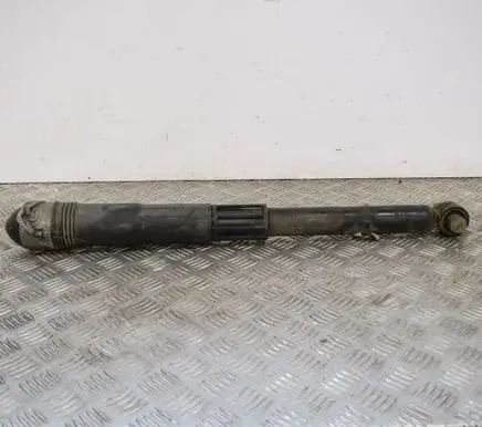 Volkswagen Tiguan Rear shock absorber/damper 