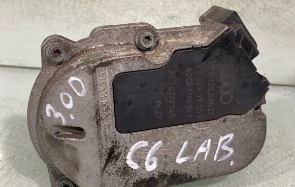 Audi A6 S6 C6 4F Intake manifold valve actuator/motor A2c53106043