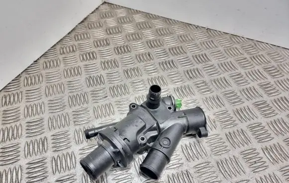 Thermostat/thermostat housing