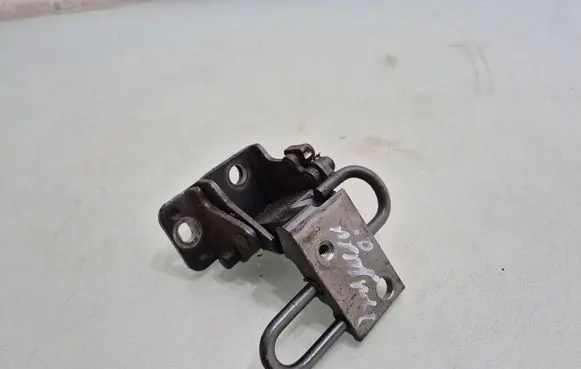 Rear door lower hinge