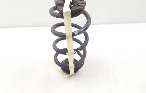 Nissan Qashqai Rear coil spring