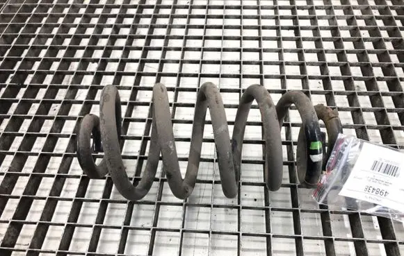 Rear coil spring