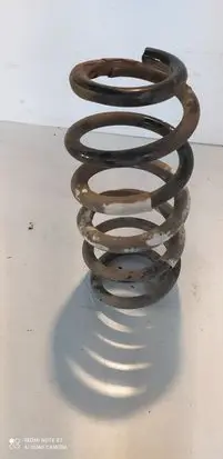 Toyota RAV 4 (XA30) Rear coil spring