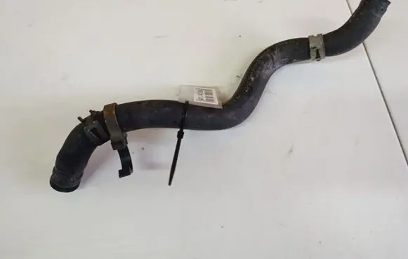 Honda Accord Engine coolant pipe/hose