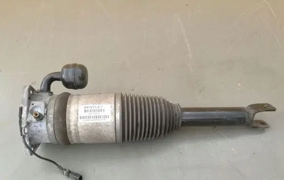Bentley Flying Spur Front shock absorber/damper 3W7616002