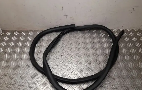 Ford Mustang Mach-E Rubber seal rear door LJ8BR20708