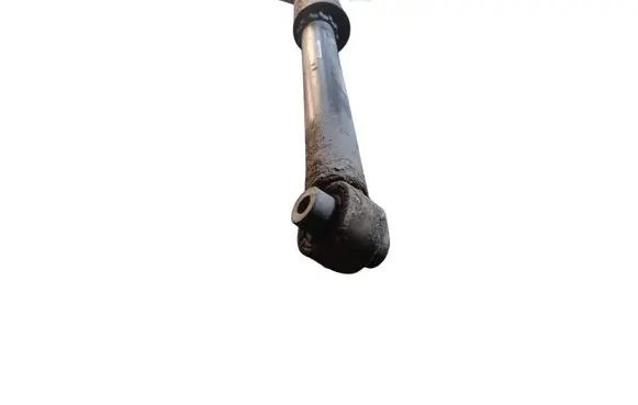 Rear shock absorber/damper