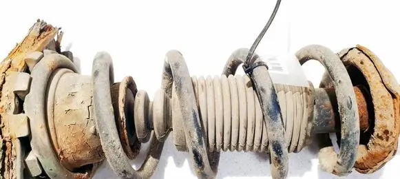 Nissan Almera Tino Rear coil spring 