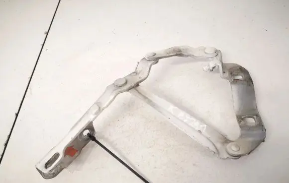 Volkswagen New Beetle Engine bonnet/hood hinges 1c0823301c
