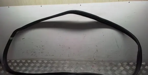 KIA EV6 Rubber seal rear door 