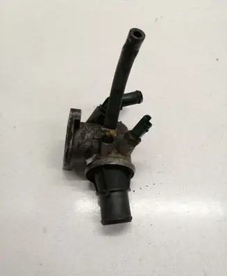 Thermostat/thermostat housing
