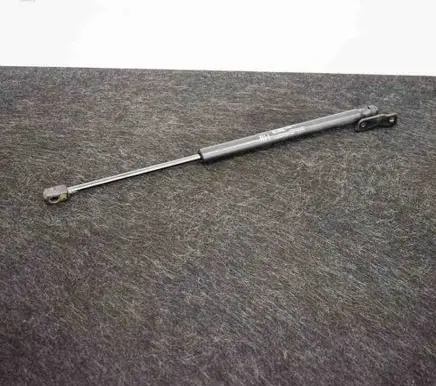 Tailgate/trunk strut/damper