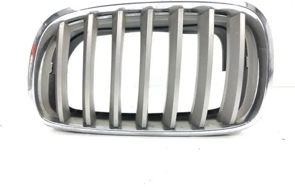 BMW X5 E70 Front grill 71713957157687
