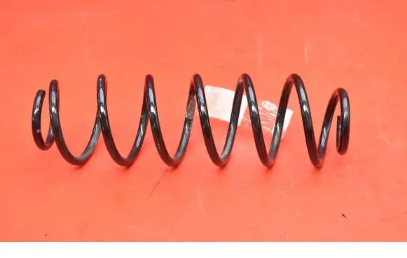 Rear coil spring