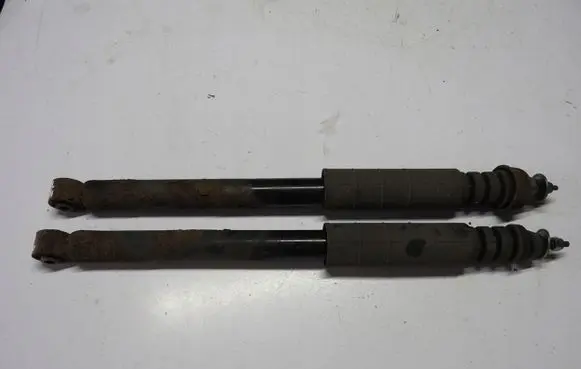 Nissan Note (E12) Rear shock absorber with coil spring 8200973738