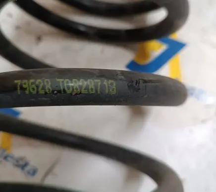 Opel Antara Rear coil spring 4820550 95096691