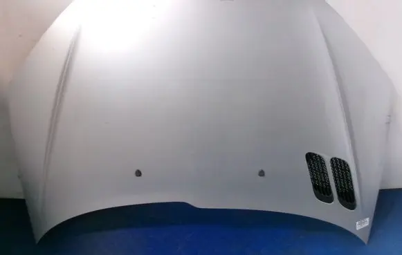 Engine bonnet/hood