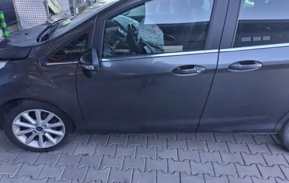 Ford B-MAX Front door