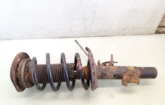 Ford S-MAX Front shock absorber with coil spring
