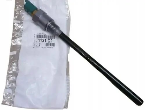 Peugeot 307 Oil level sensor 1131G2