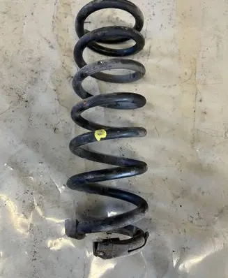 Rear coil spring
