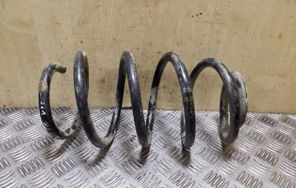 Front coil spring