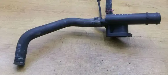 Thermostat/thermostat housing