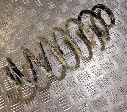 Volkswagen PASSAT B6 Rear coil spring