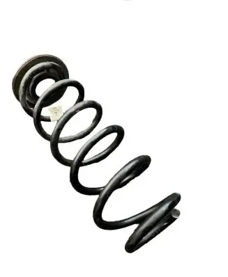 Audi TT TTS RS Mk3 8S Rear coil spring 8S0511115
