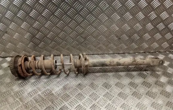 Ford Ka Rear shock absorber with coil spring 