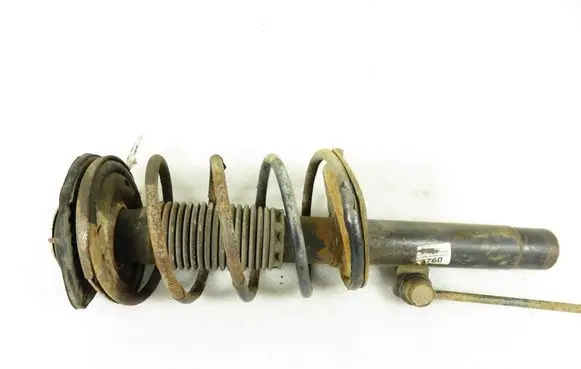 Peugeot 206 Front shock absorber with coil spring