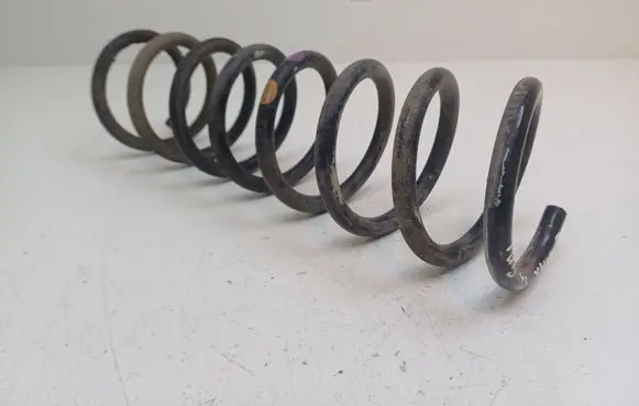 Rear coil spring
