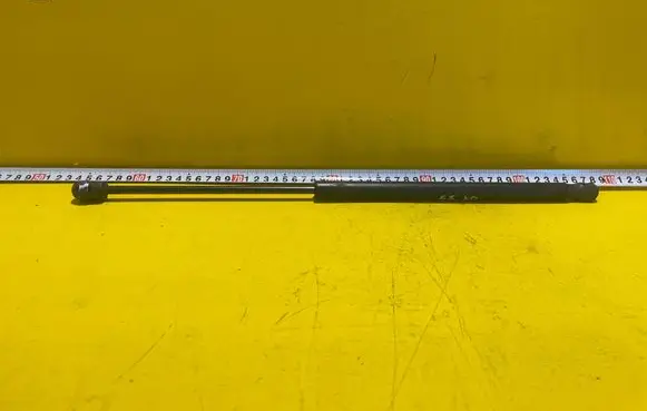 Tailgate/trunk strut/damper