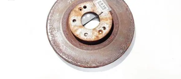 Hyundai Santa Fe Front brake disc ventiliuojamas