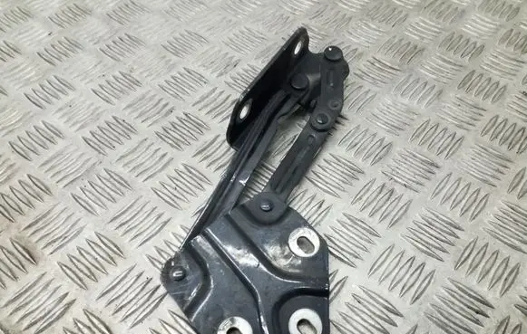 Volkswagen Touran I Tailgate/trunk/boot hinge 1T0823302