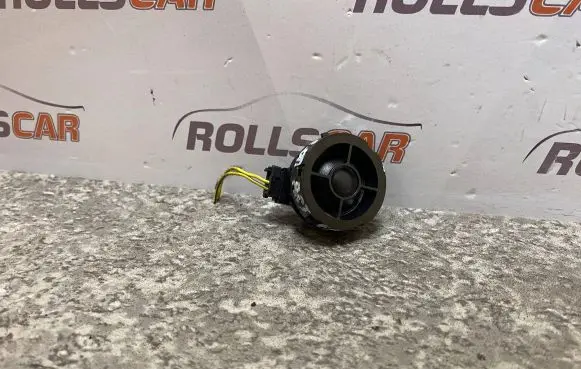 Front door high frequency speaker