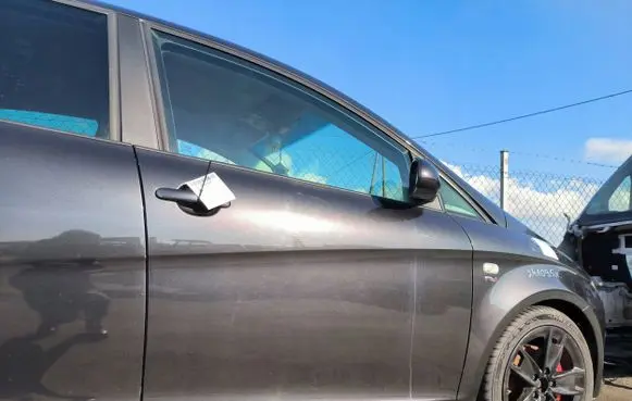 Seat Toledo III (5P) Front door LS9N